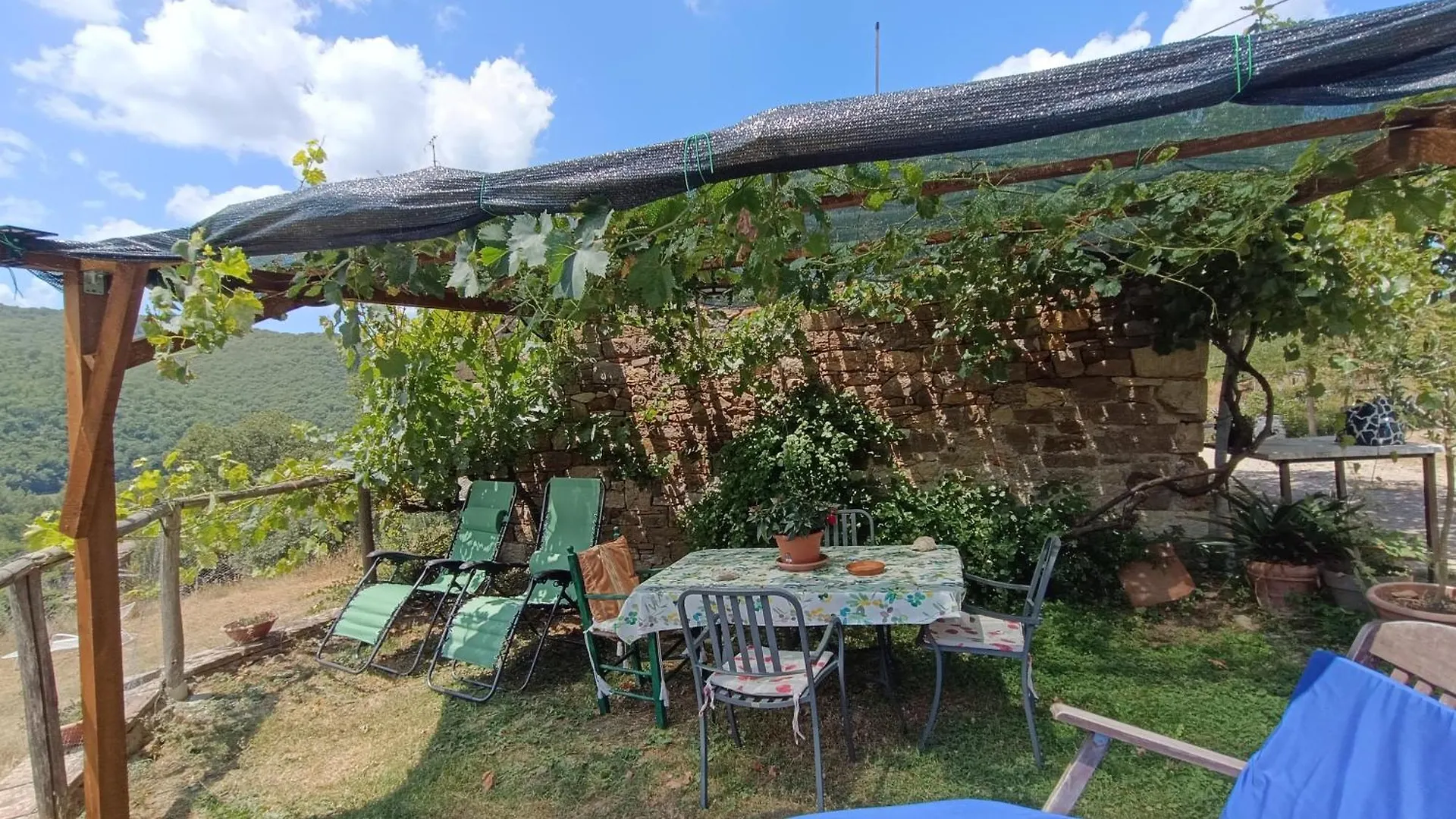 Farm stay Agriturismo Podere Tegline Radda in Chianti Italy