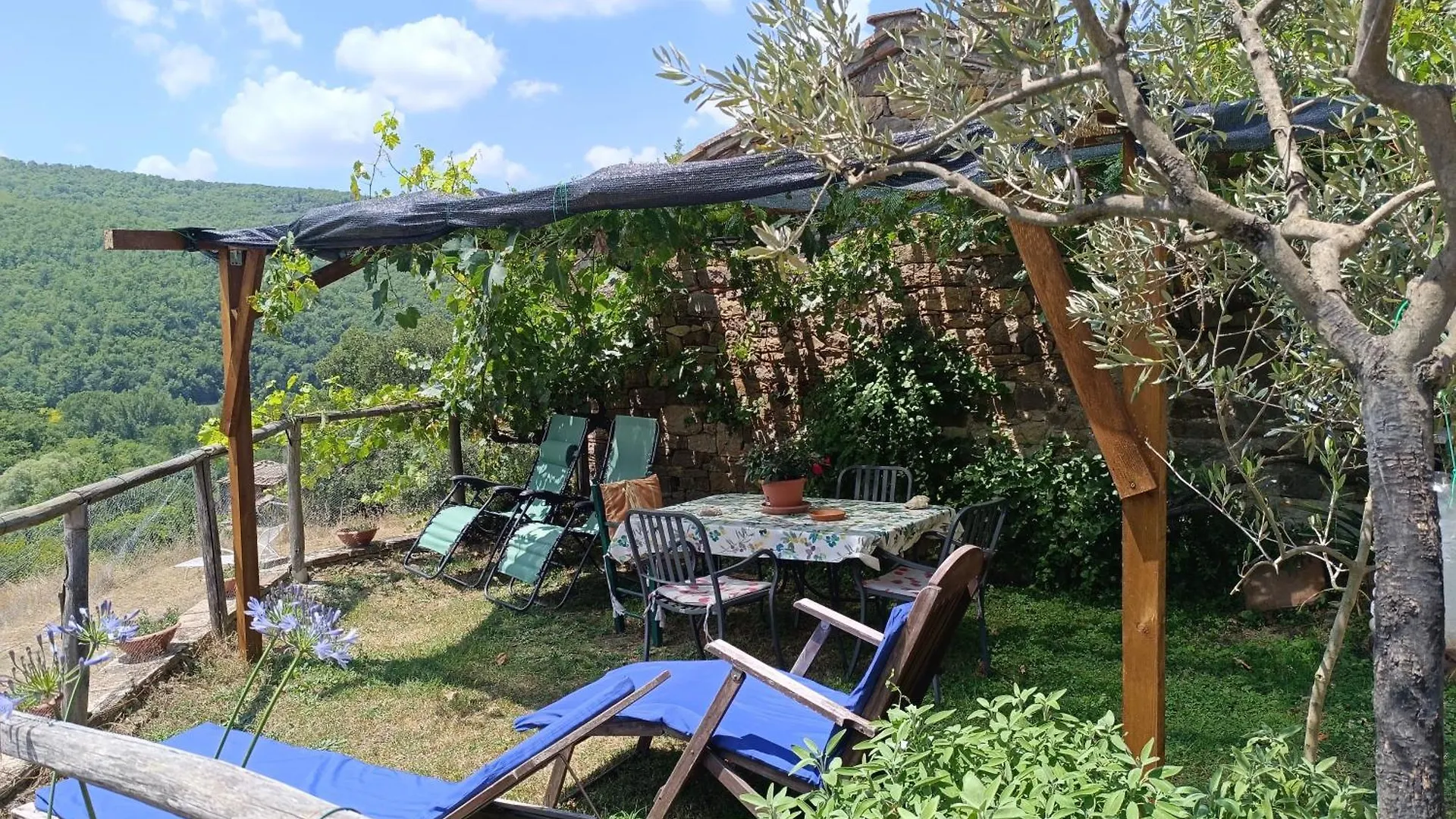 Agriturismo Podere Tegline Radda in Chianti Farm stay