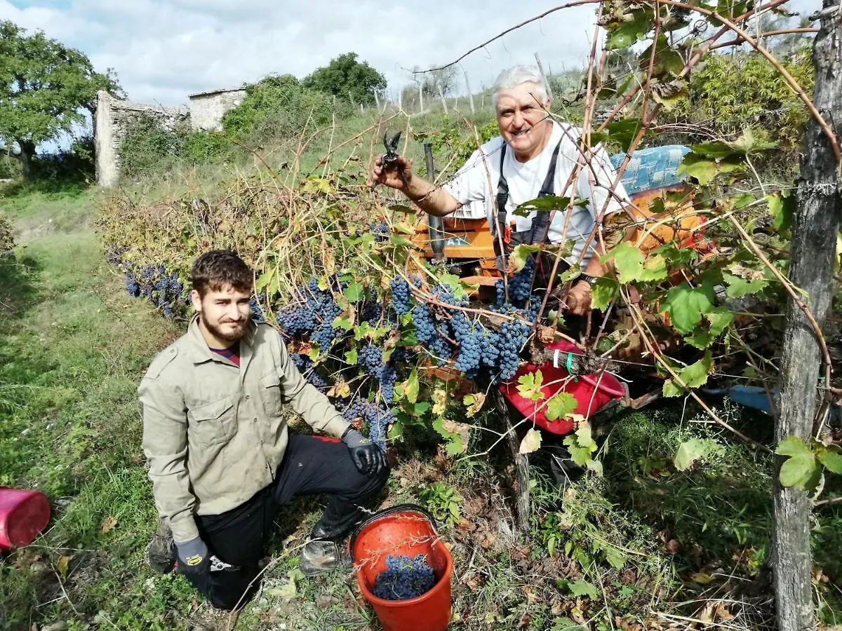 Agriturismo Podere Tegline Radda in Chianti 0*,